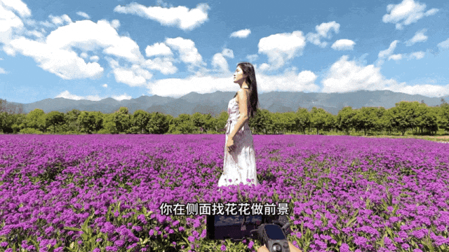 利用花叶前景遮挡的不露脸跟拍运镜示意图