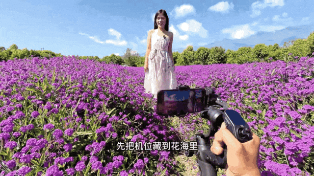 飞宇蝎子Mini3手机版低机位拍摄花海背影示意图