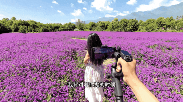 低机位后拉拍摄抛洒花瓣动作