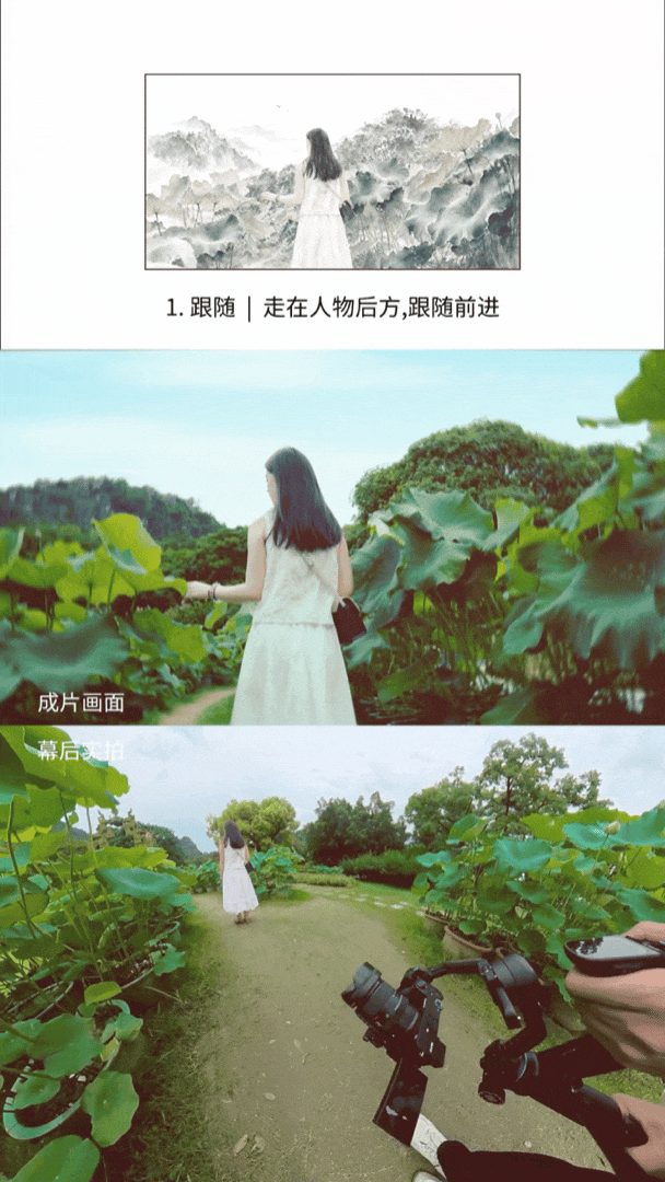 飞宇蝎子 Mini 3 Pro 低机位仰拍跟拍荷塘人像动图 飞宇蝎子 Mini 3 Pro 低机位仰拍跟拍荷塘人像动图