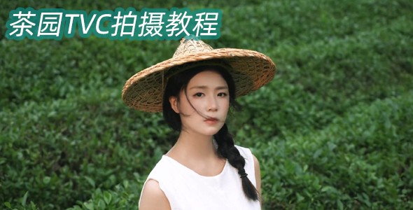 茶园TVC短片拍摄教程｜4个高级运镜技巧，用飞宇蝎子Mini3 Pro解锁治愈绿意大片