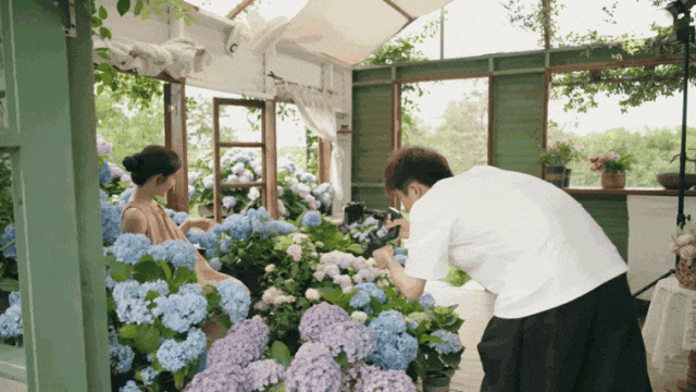 人物与花朵触摸互动特写电影感运镜动图